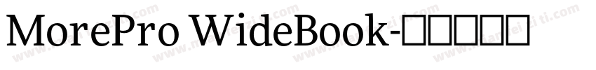 MorePro WideBook字体转换